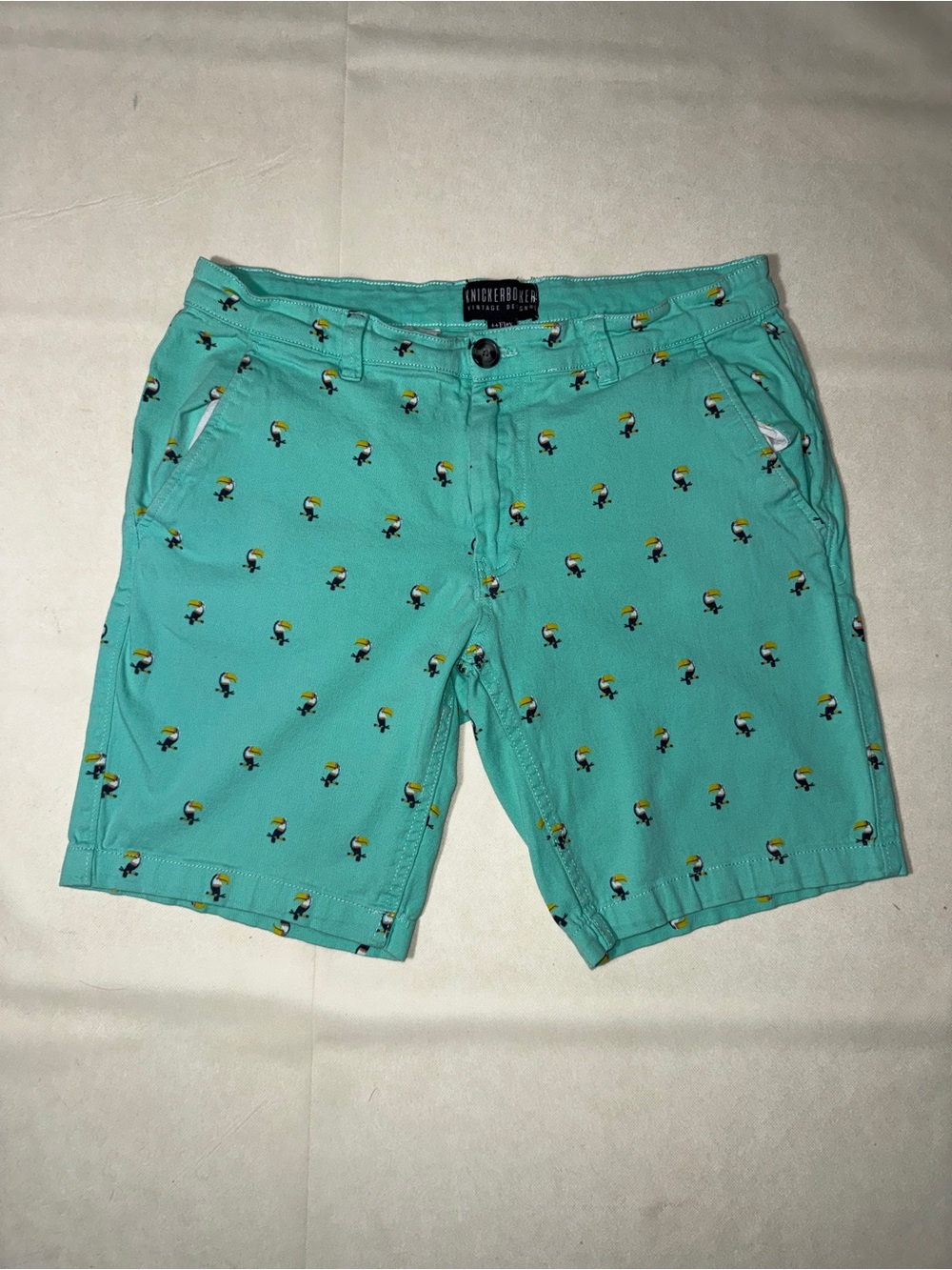 Vintage Teal Embroidered Toucan Men's Shorts